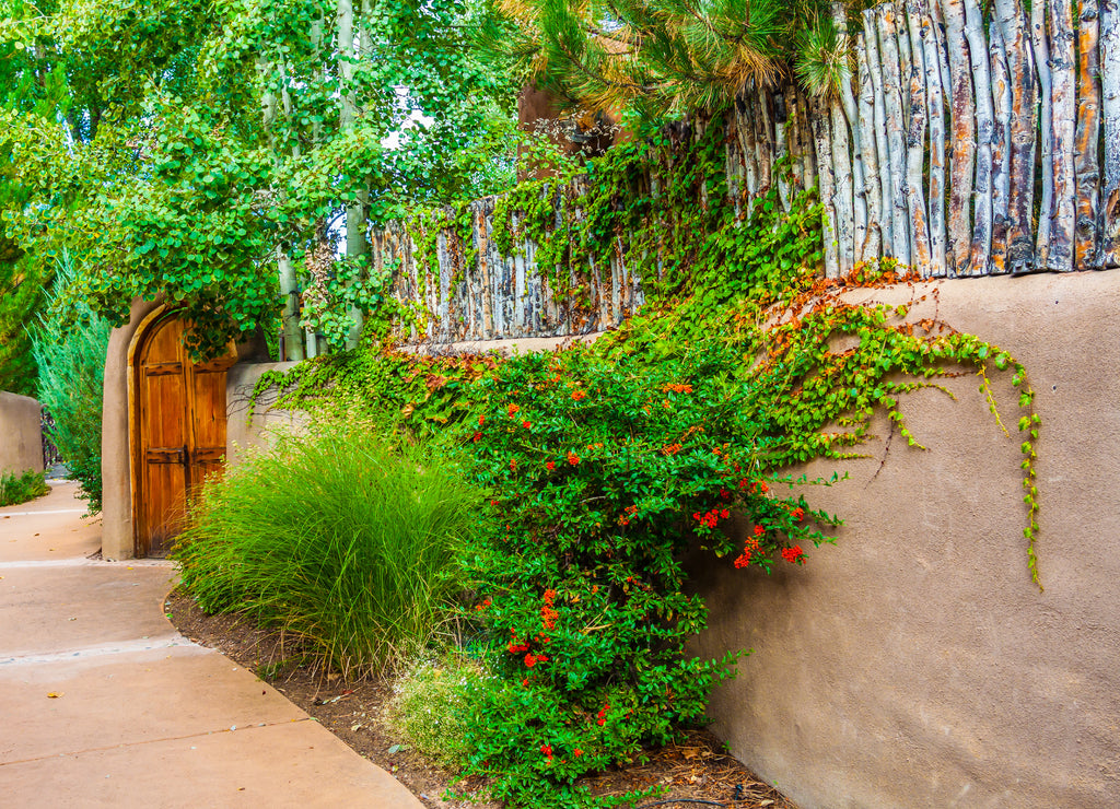 Hand Carved Door and Adobe Walls, Taos, New Mexico, USA