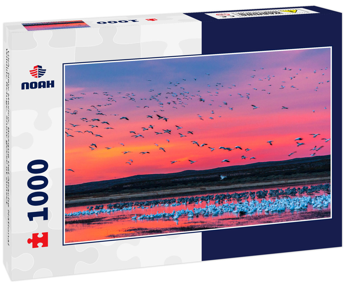 USA, New Mexico, Bosque Del Apache National Wildlife Refuge. Snow geese at sunset