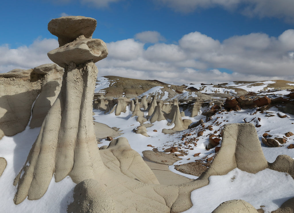 Bisti badlands, New Mexico, USA