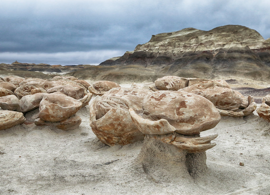 Bisti badlands, Cracked Eggs, New Mexico, USA