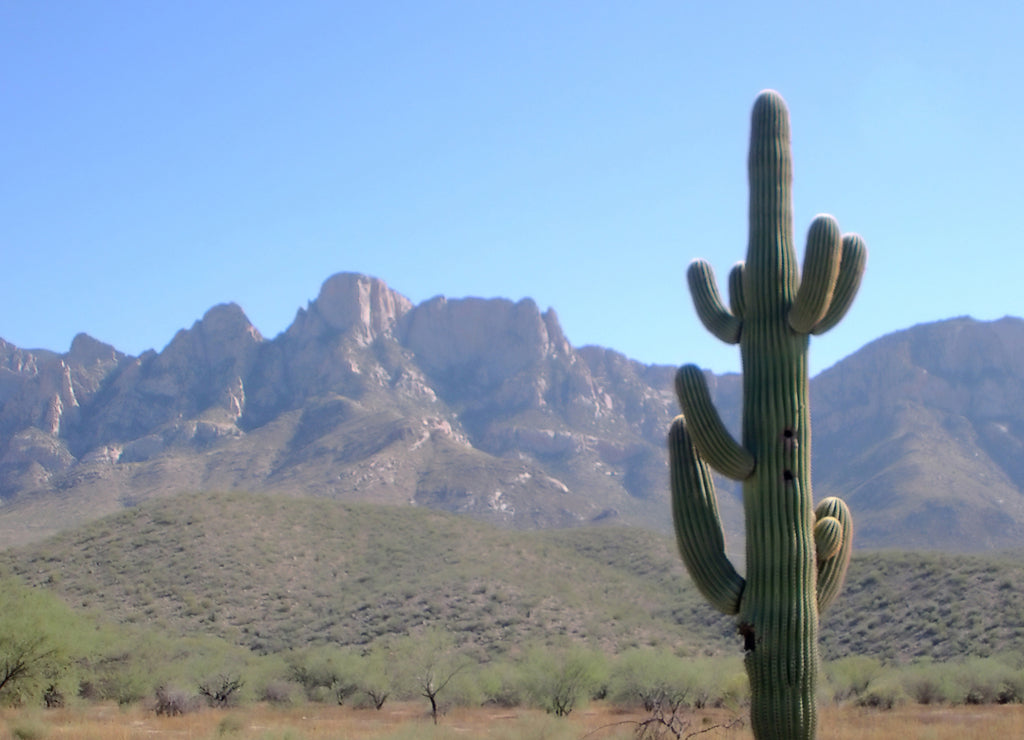 Desert background, New Mexico