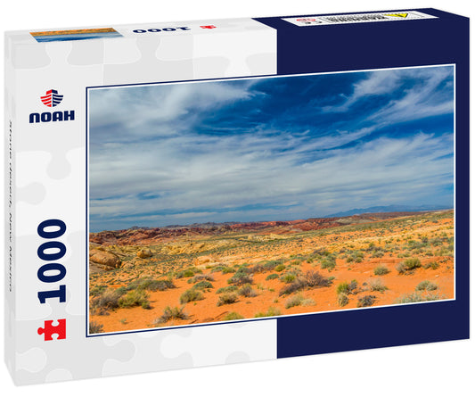 Stone desert, New Mexico