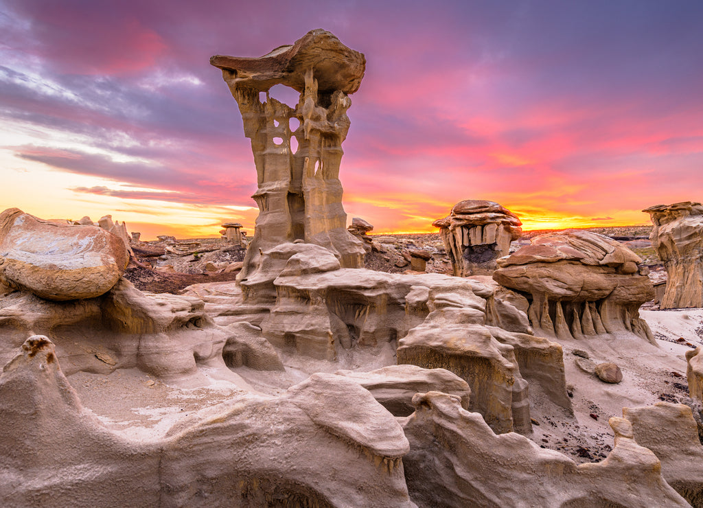 Bisti Badlands, New Mexico, USA