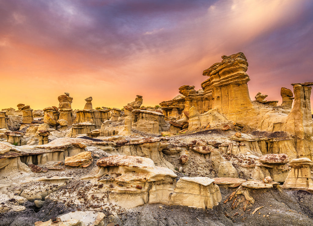 Bisti Badlands, New Mexico, USA hoodoo rock formations