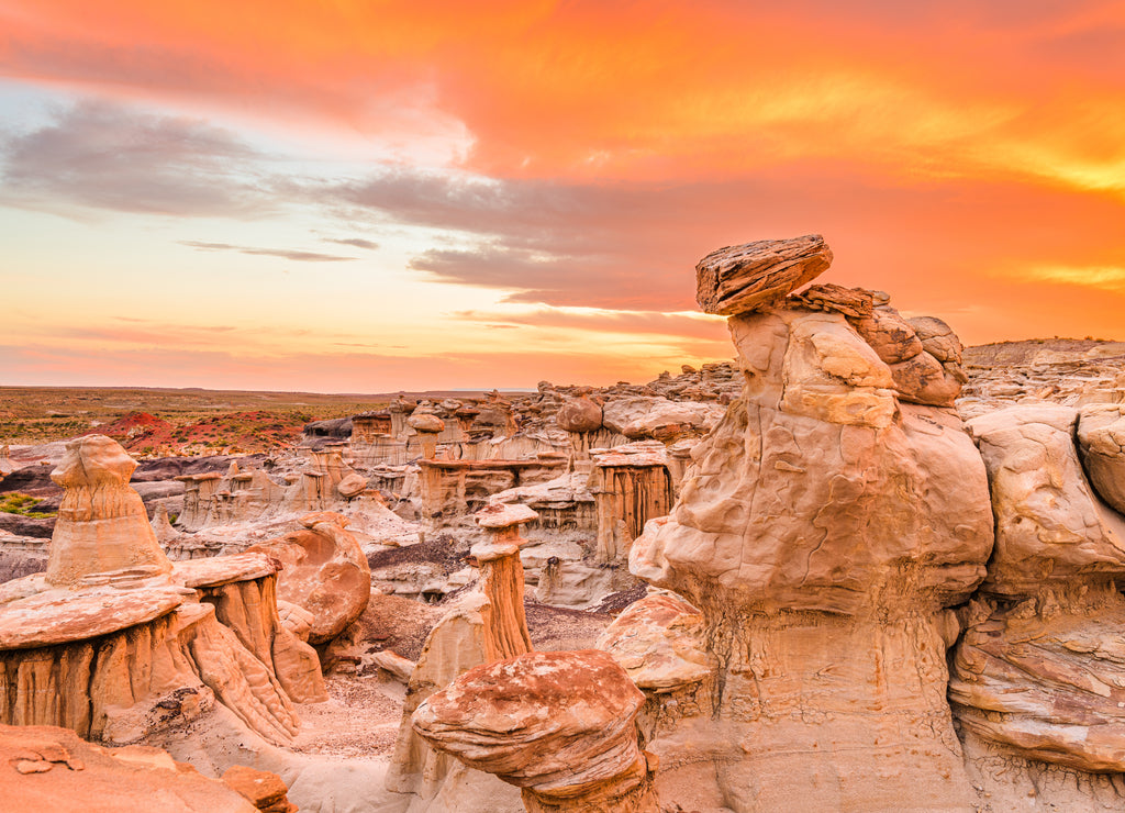 Bisti Badlands, New Mexico, USA