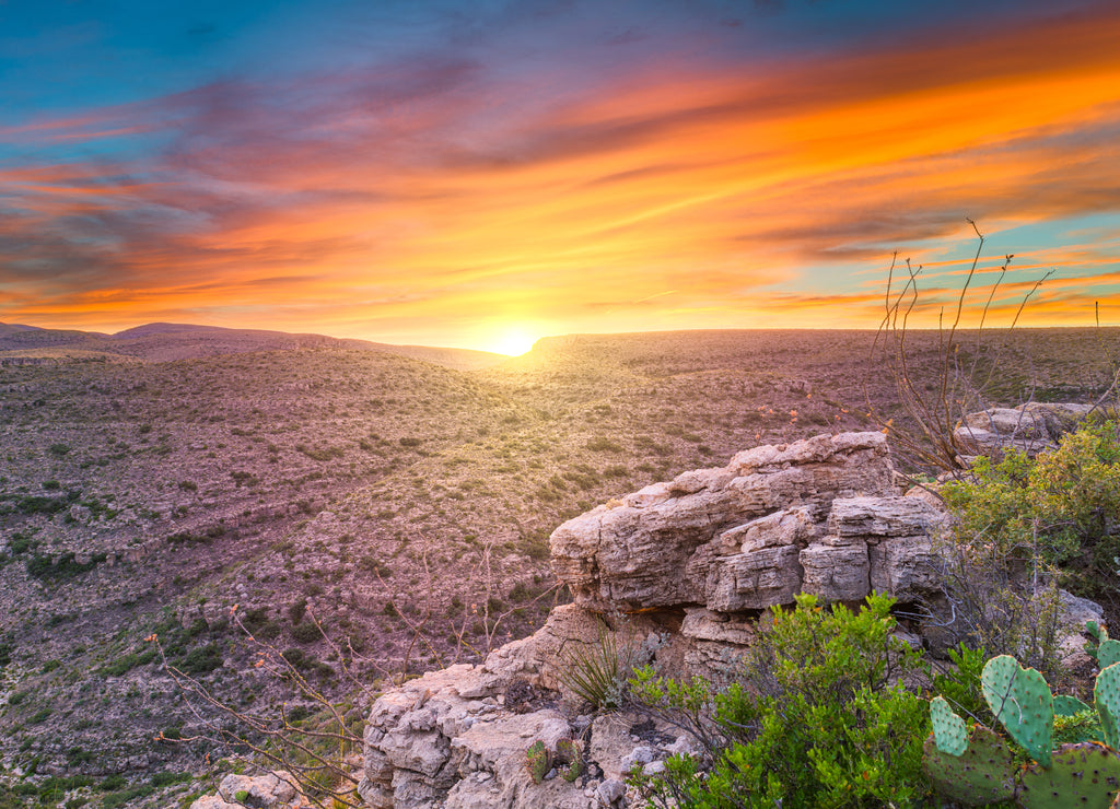 Carlsbad Cavern National Park, New Mexico, USA overlooking Rattlesnake Canyon