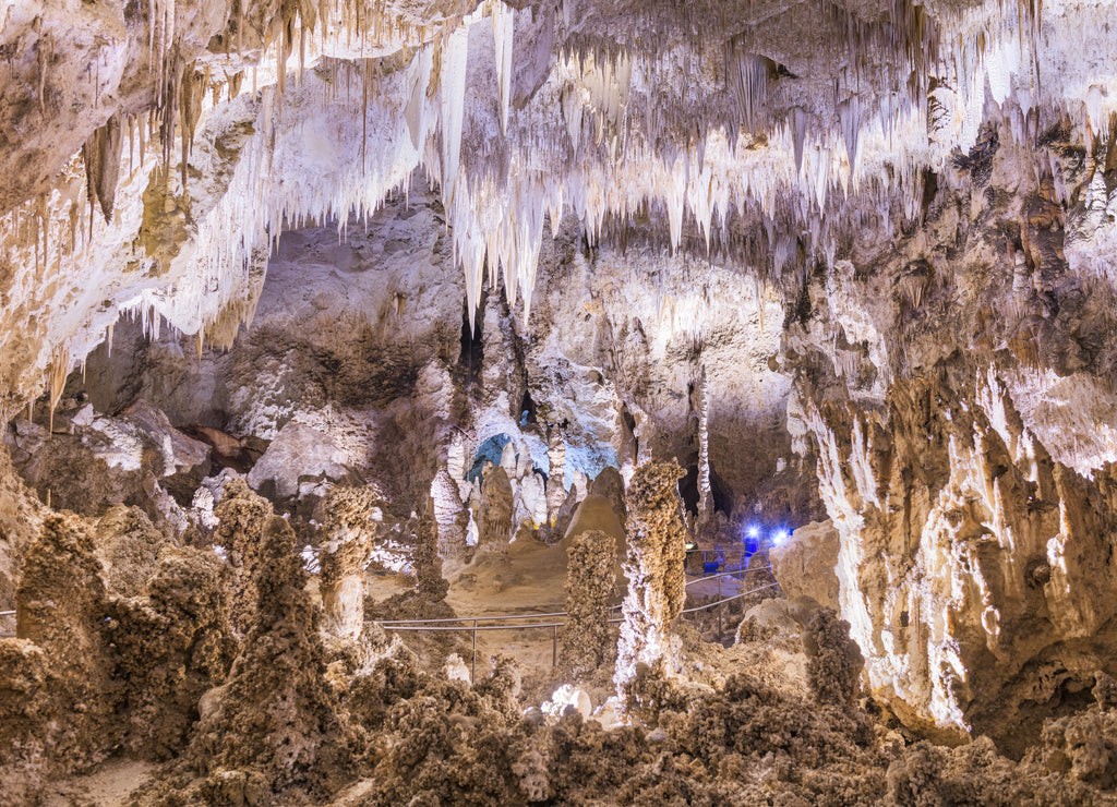 Carlsbad Cavern National Park, New Mexico, USA