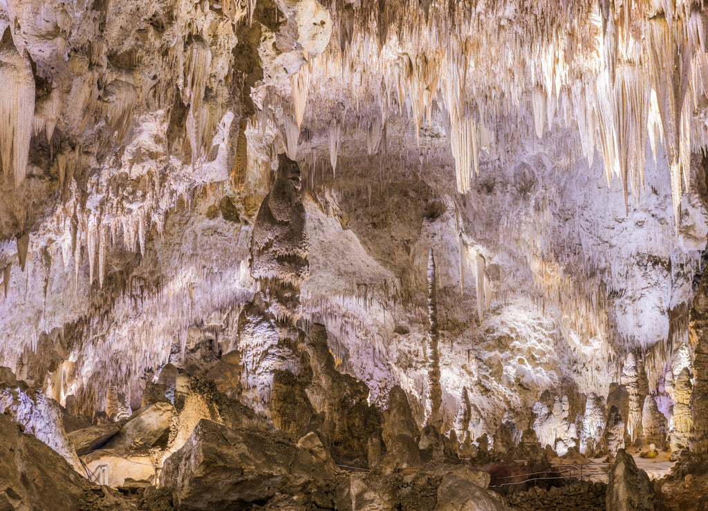 Carlsbad Cavern National Park, New Mexico, USA