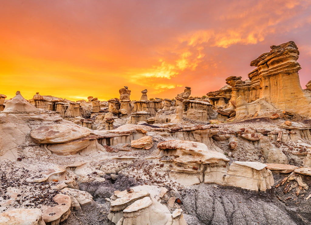 Bisti/De-Na-Zin Wilderness, New Mexico, USA