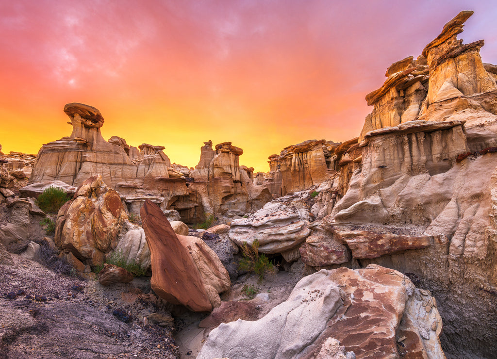 Bisti/De-Na-Zin Wilderness, New Mexico, USA