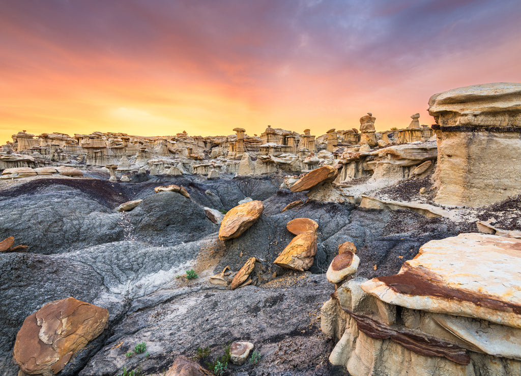 Bisti/De-Na-Zin Wilderness, New Mexico, USA