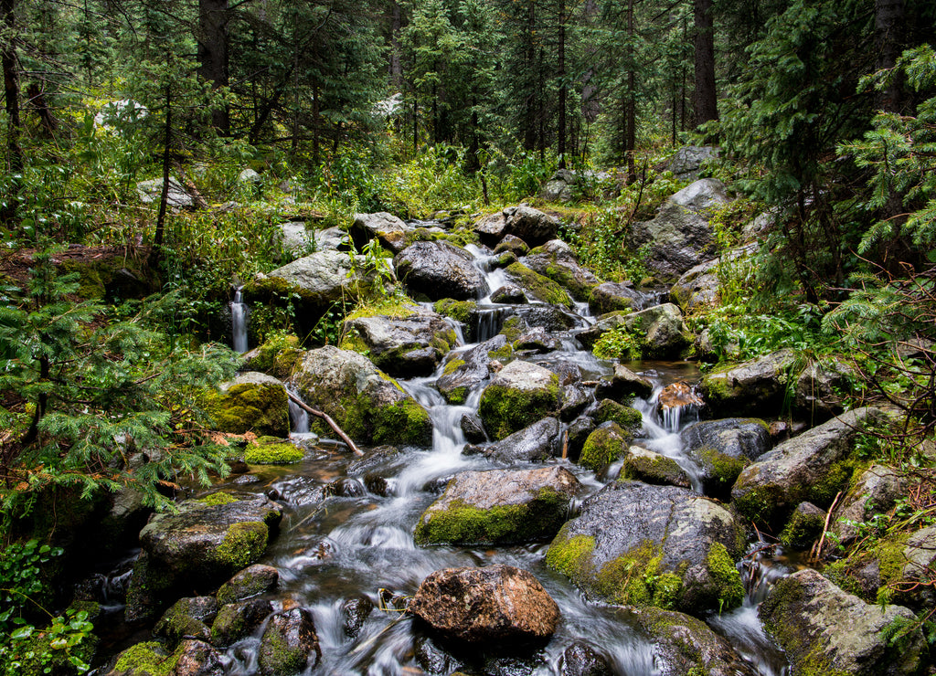 Waterfall and mossy boulders in lush green forest - Rio Nambe in the Santa Fe National Forest in New Mexico