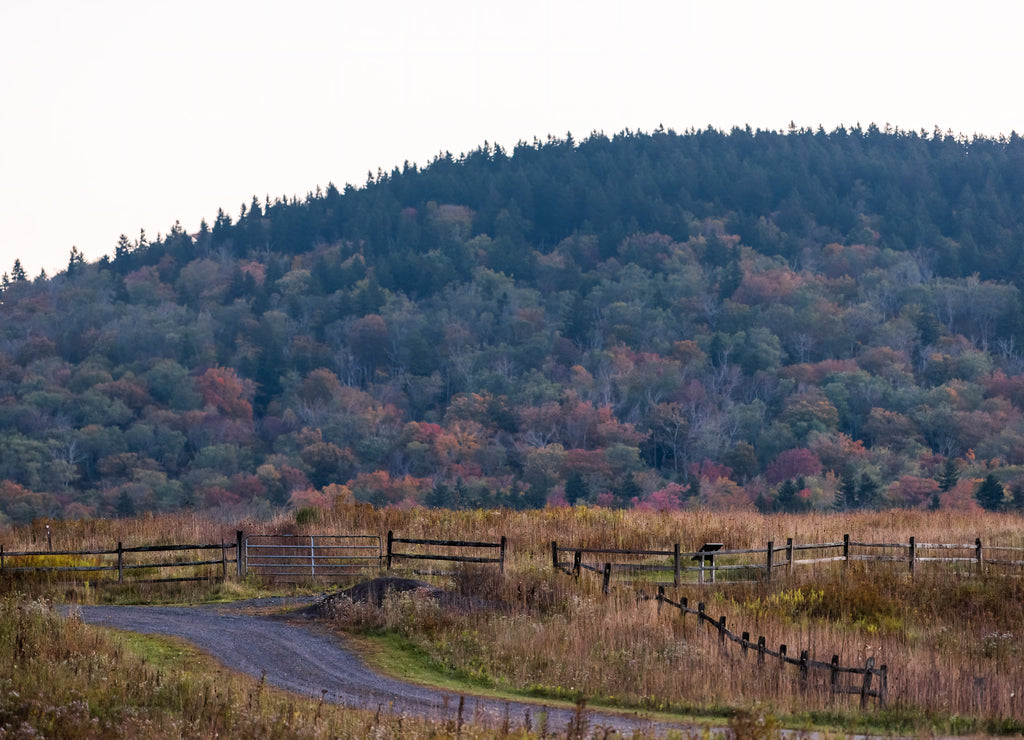 Countryside rural gravel dirt road by West Virginia Monongahela national forest Little Laurel mountains scenic overlook in autumn in Highland Scenic Highway morning sunrise with rolling hills