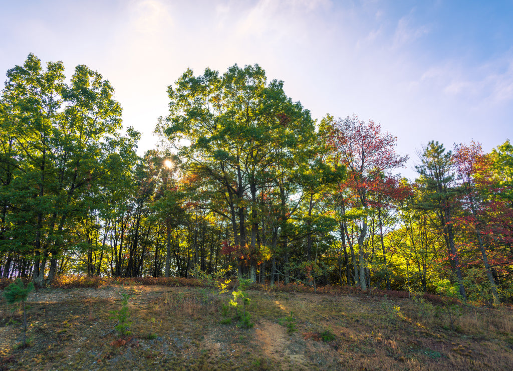 Fall foliage in West Virginia