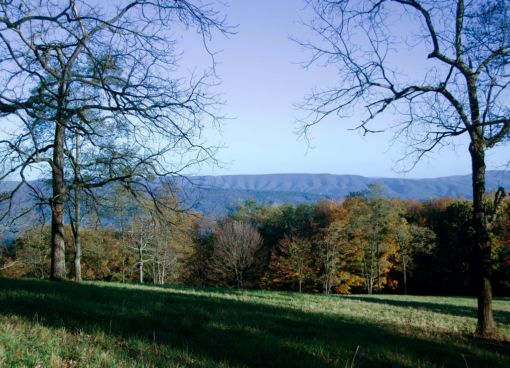 West Virginia Fall