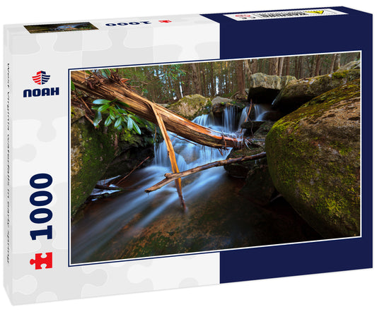 West Virginia waterfalls in early spring