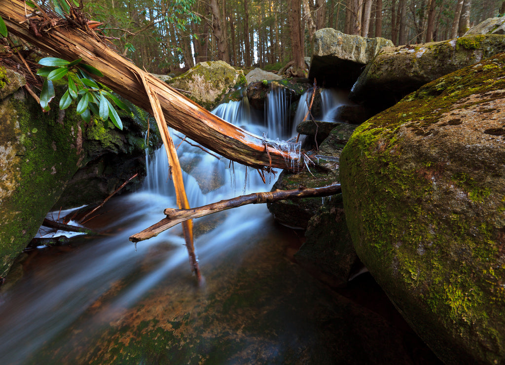 West Virginia waterfalls in early spring