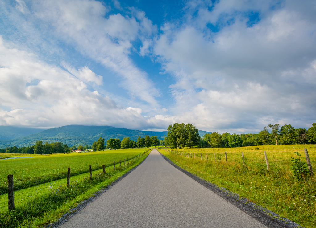 A country road in the rural Potomac Highlands of West Virginia