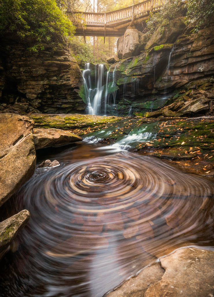 A beautiful swirl of Autumn leaves at Elakala Falls in Blackwater Falls State Park, West Virginia