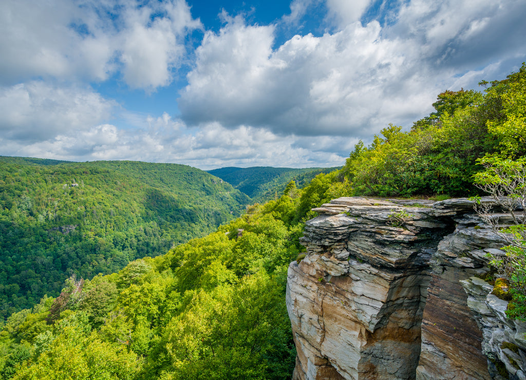View of the Blackwater Canyon from Lindy Point, at Blackwater Falls State Park, West Virginia