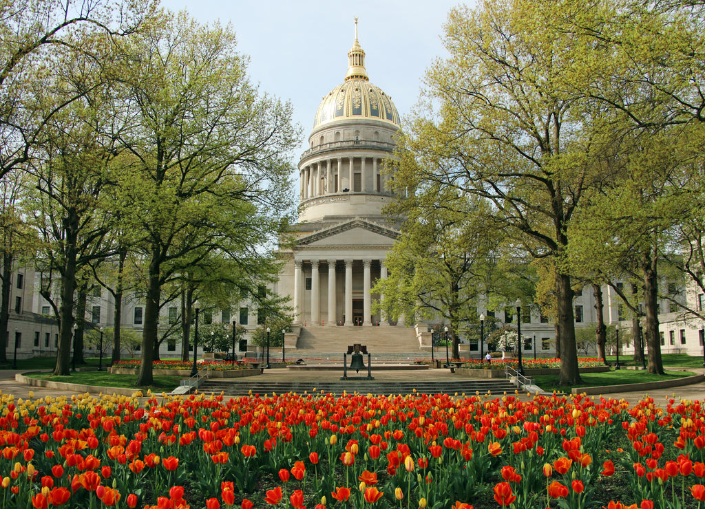 The West Virginia State Capitol looks beautiful surrounded by spring tulips in Charleston