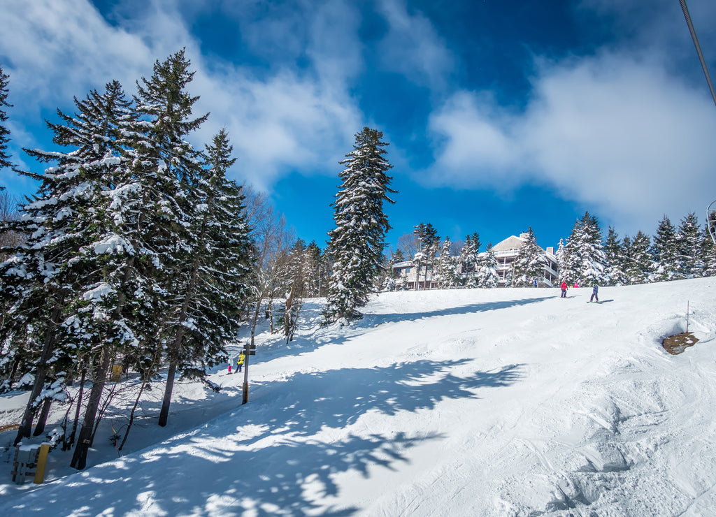 beautiful nature and scenery around snowshoe ski resort in cass west virginia