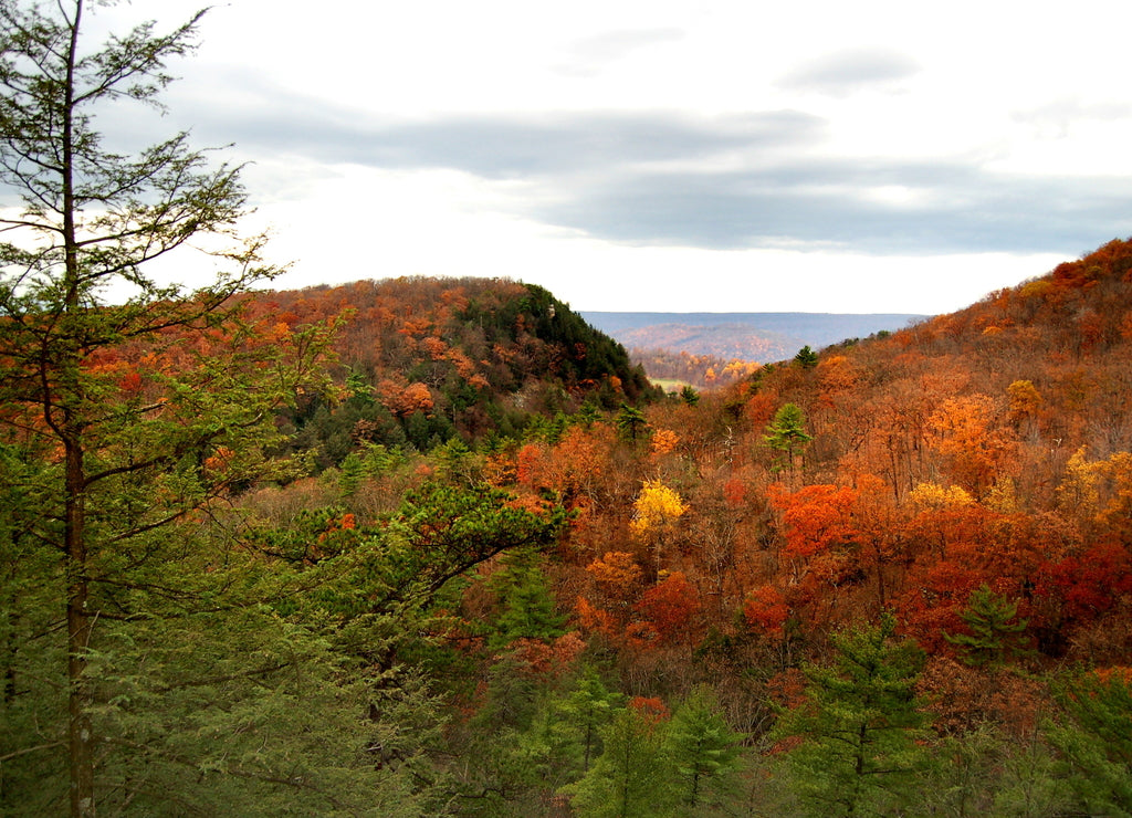 Hills of West Virginia