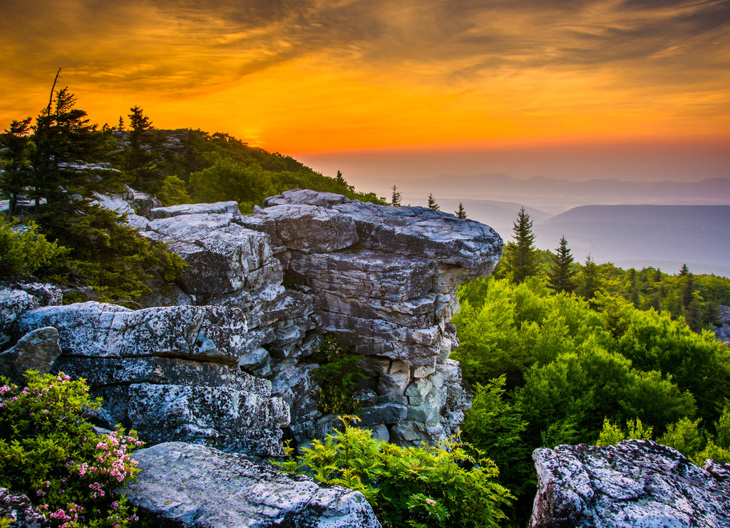 Sunrise at Bear Rocks Preserve, in Dolly Sods Wilderness, Monongahela National Forest, West Virginia