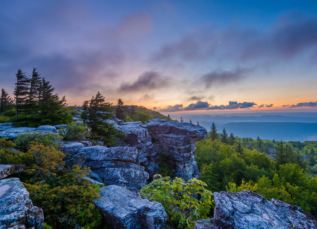 Sunrise view from Bear Rocks Preserve in Dolly Sods Wilderness, Monongahela National Forest, West Virginia