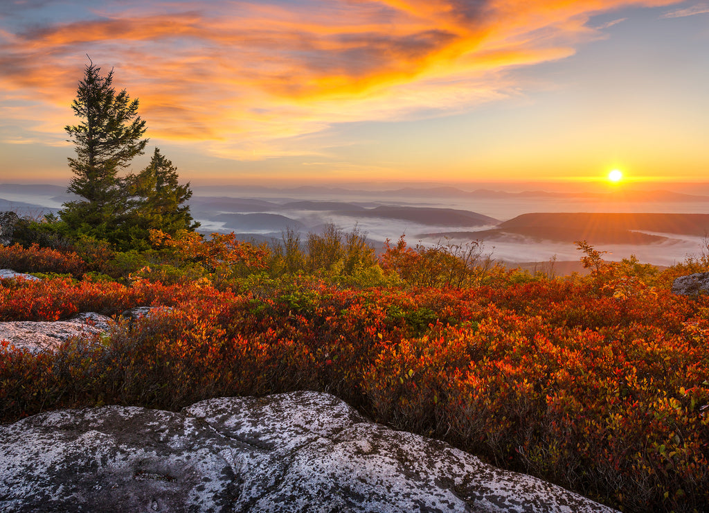 West Virginia, scenic sunrise, Dolly Sods