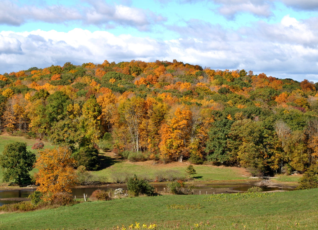 Countryside, Connecticut