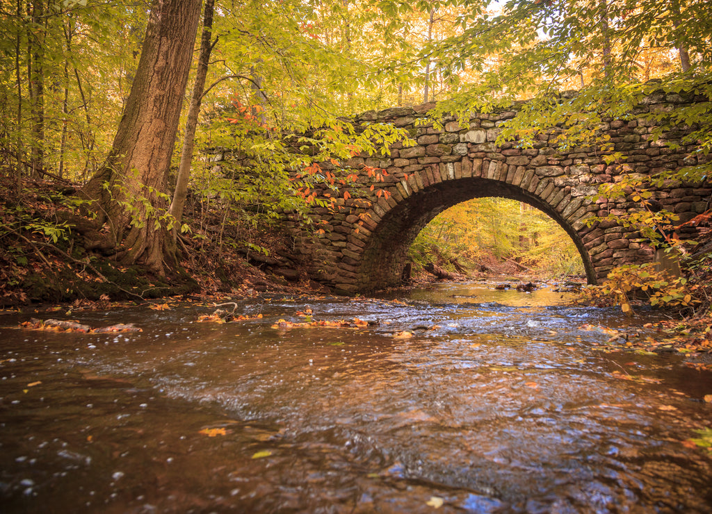 Autumn Archway, Connecticut