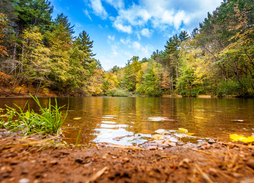 Relaxing Shore Of Small Pond In Fall, Connecticut