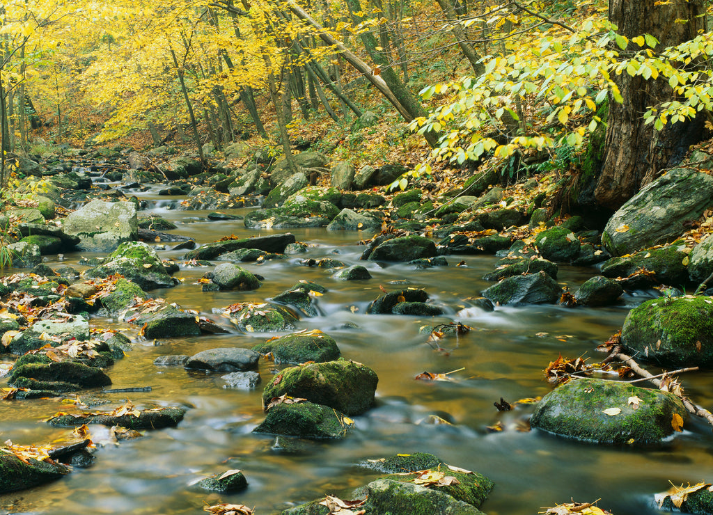 Macedonia Brook State Park, Connecticut