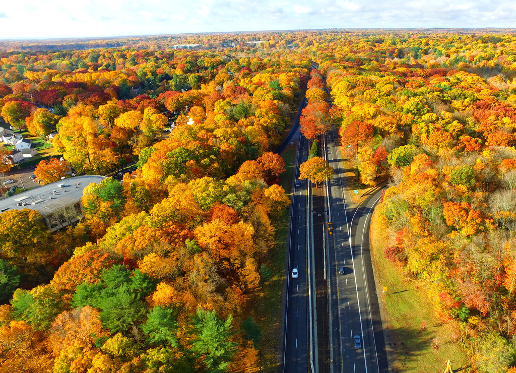 Stamford Connecticut