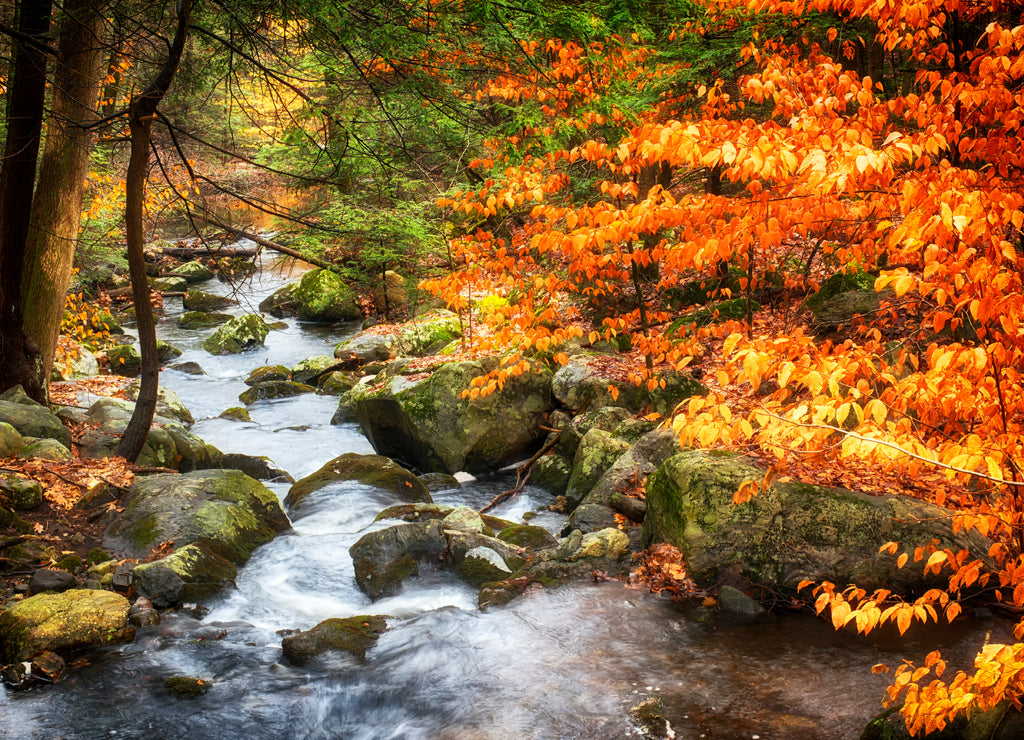 Burr Pond State Park autumn landscape, Connecticut