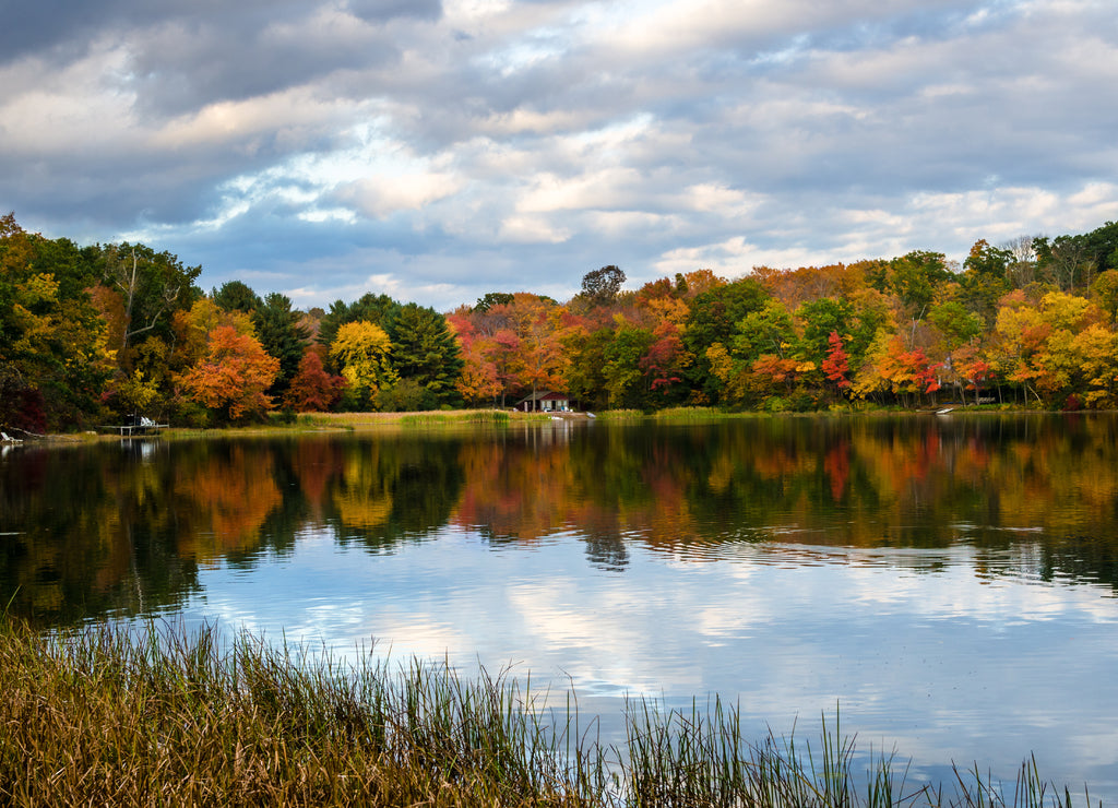 Colourful Autumn Trees on the Shore of a Lake and Cloudy Sky at Sunset. Reflection in Water, Connecticut