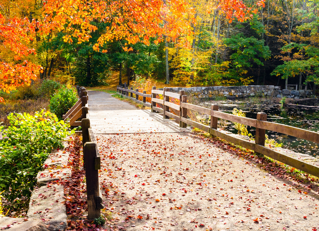 Fenced footpath covered in leaves in a park on a sunny day. Beautiful autumn colours, Connecticut