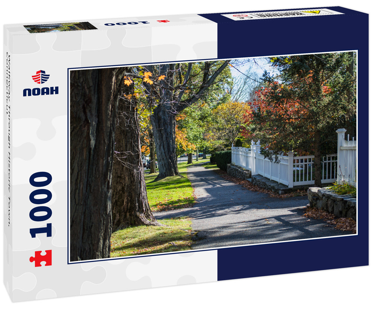 Walkway Through Historic Town, Connecticut