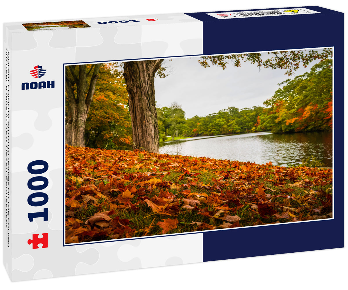 Vibrant colorful autumn leaves on the curved hill near a lake in New Haven Connecticut