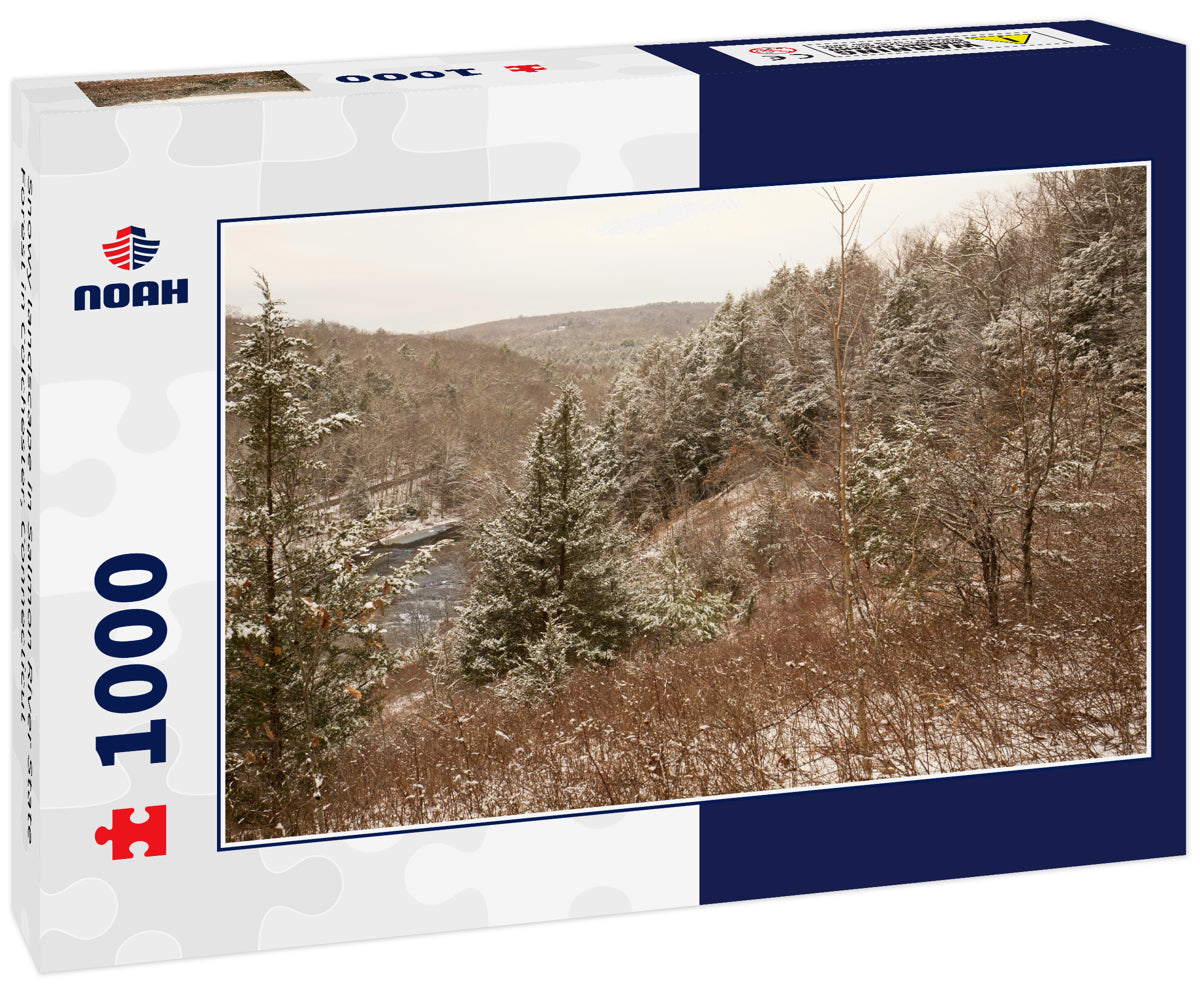 Snowy landscape in Salmon River State Forest in Colchester, Connecticut