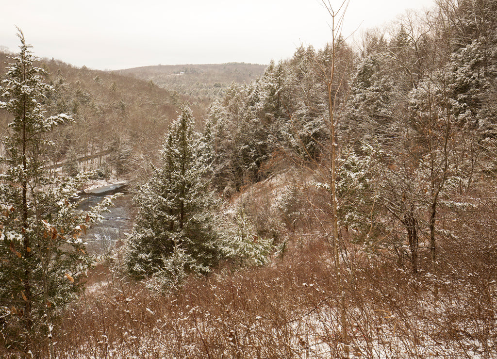 Snowy landscape in Salmon River State Forest in Colchester, Connecticut