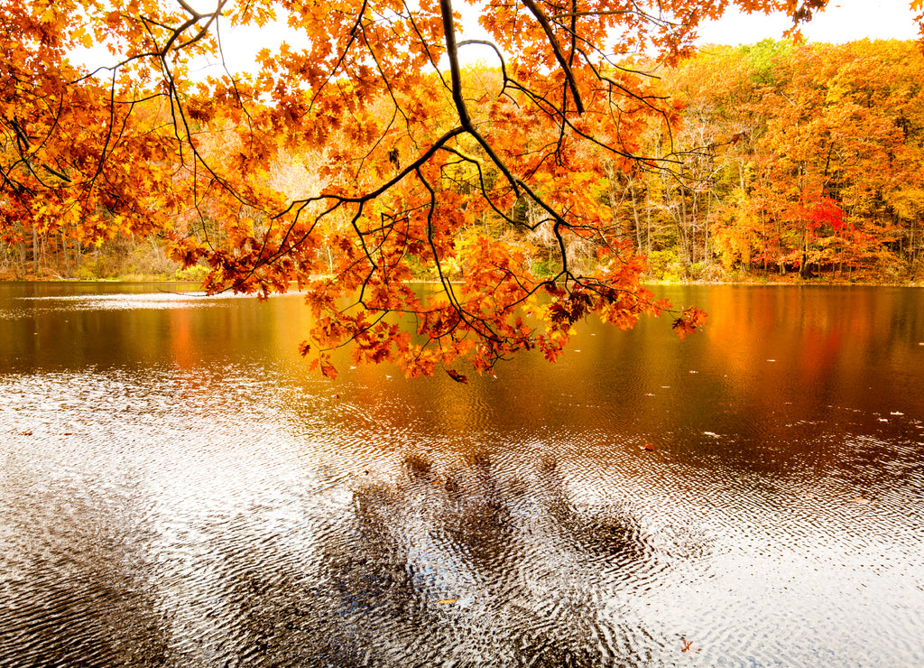 Fall colors and reflections in Birge Pond in Bristol, Connecticut