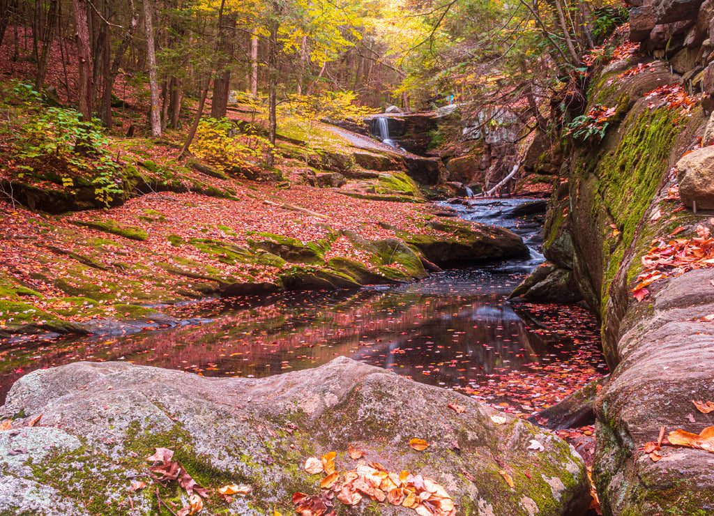 Enders Falls on an autumn day, Connecticut