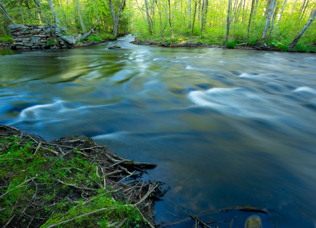Willimantic River in the Kollar WMA of Tolland, Connecticut