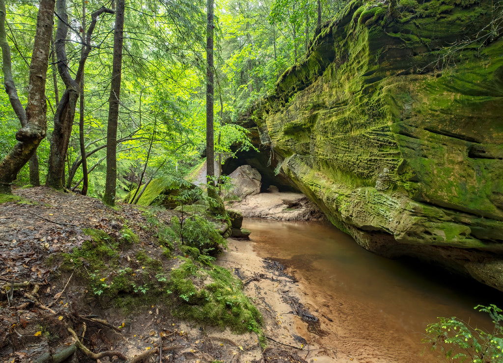 Dismal's Canyon, Alabama