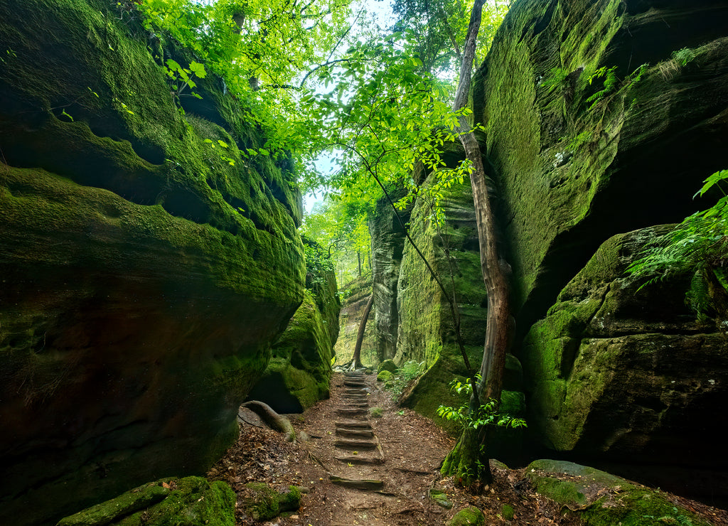 Dismal's Canyon, Alabama