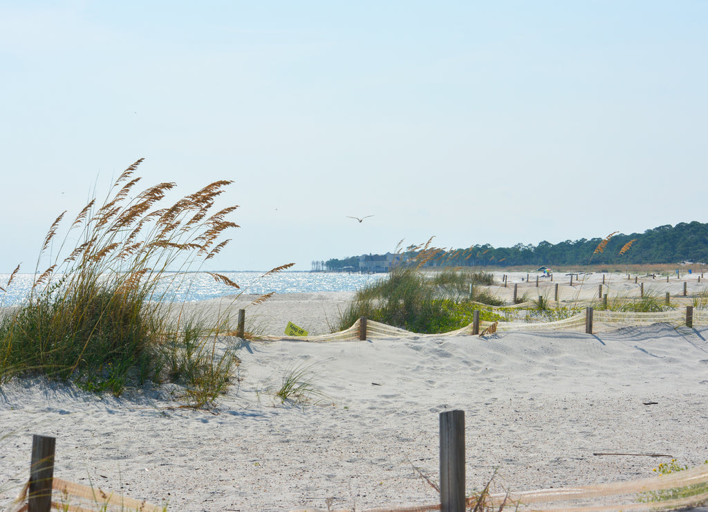 White sand beach on Dauphin Island, Alabama