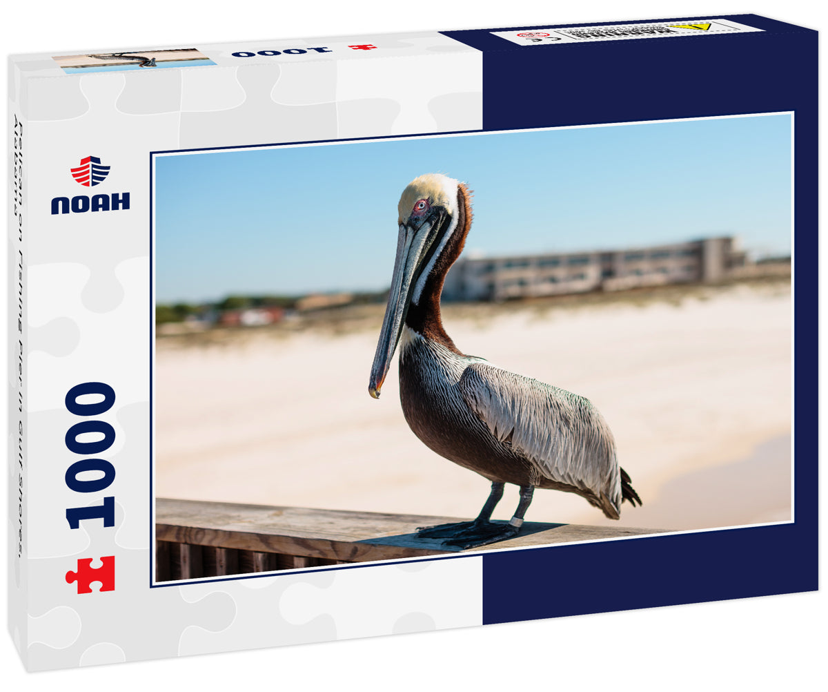 Pelican on Fishing Pier in Gulf Shores, Alabama