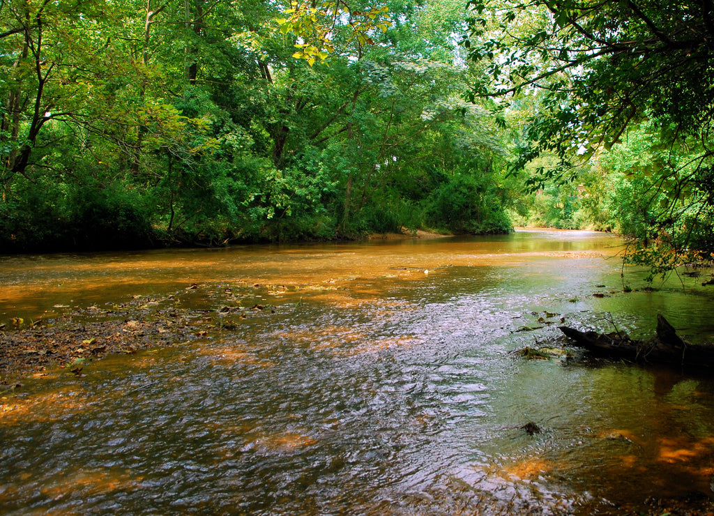 Autauga Creek / Autauga Creek near Prattville, Alabama